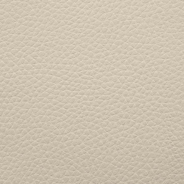 Artificial Leather Outside Beige