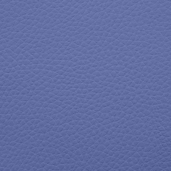 Artificial Leather Outside Blue