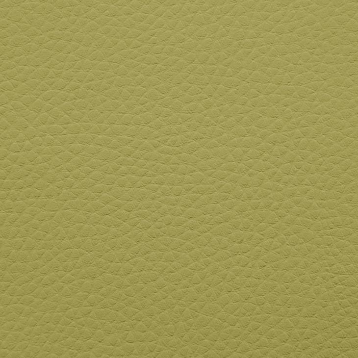 Artificial Leather Outside Lime