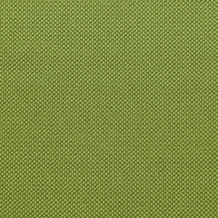 Fabric Profuse Kiwi