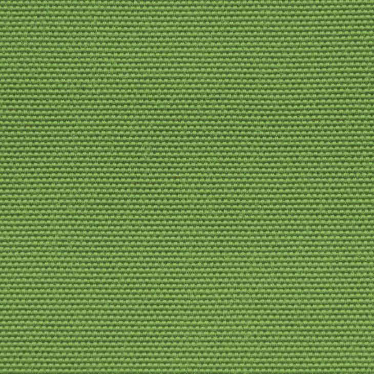 Fabric Colorin Lime
